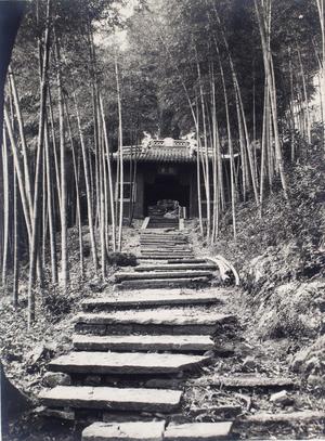 杭州韬光寺前竹林