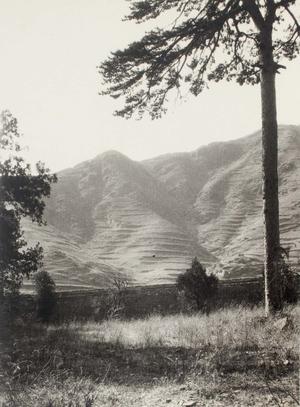 碧云寺后的山脉